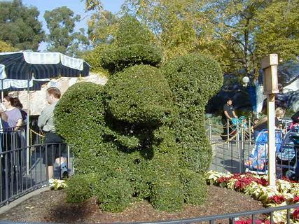 Dumbo shaped bush<br>Location: <a href="https://www.google.com/maps/search/?api=1&query=33.81356,-117.91882" target="_new">Disneyland</a>